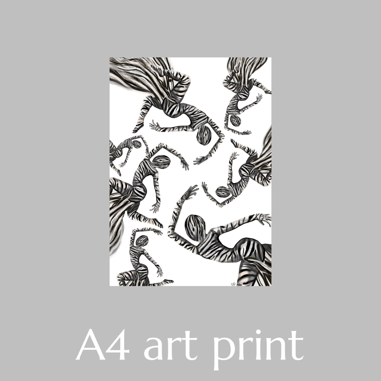 Dance of the Zebras - A4 art print